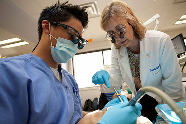 University of Florida dental student and faculty